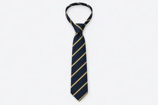 School Ties — navy tie with gold diagonal stripes. product. Illustrative catalogue concept.