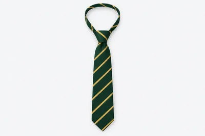 School Ties — bottle green tie with gold diagonal stripes. product. Illustrative catalogue concept.