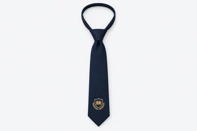 School Ties — solid navy tie with one small original gold open-book-and-shield fictional school crest near lower blade. product. Illustrative catalogue concept.