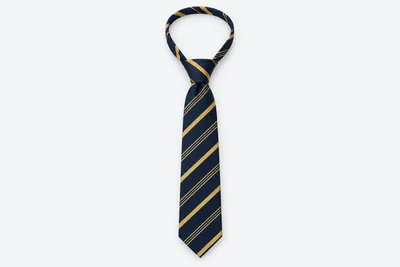 School Ties — navy tie with wide gold diagonal regimental stripes and fine gold pinstripes. product. Illustrative catalogue concept.